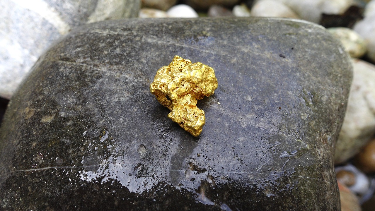 Read more about the article Como el Oro