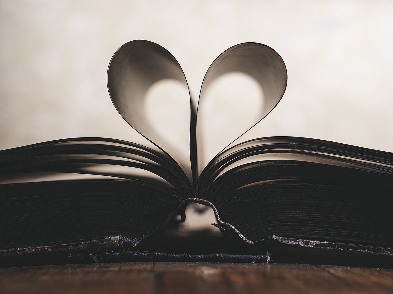 Read more about the article Saulo, Por Amor (Parte 5)